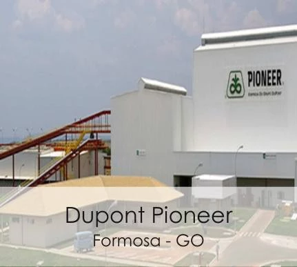 Dupont Pioneer Formosa - GO
