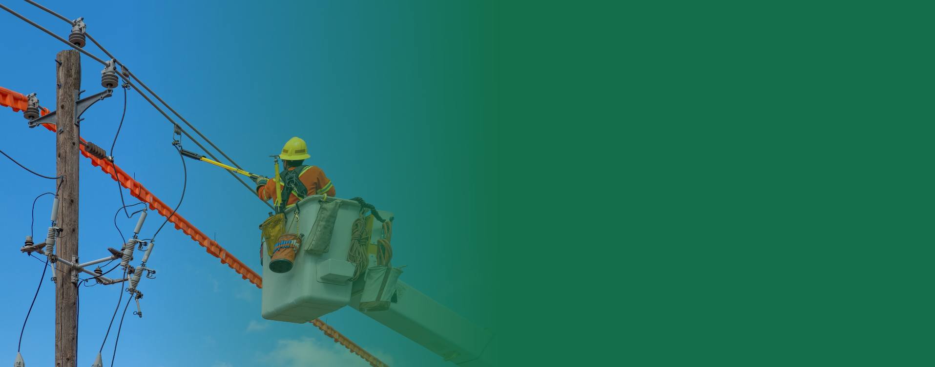 Capa da página de Ribeirão Preto