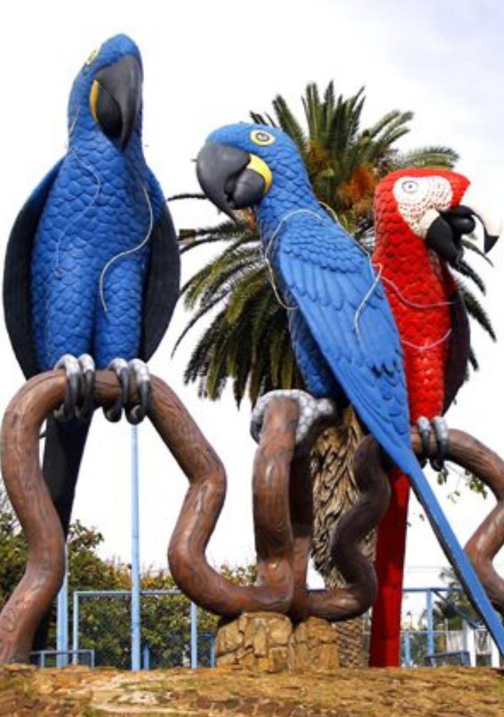 Cidade de São Campo Grande