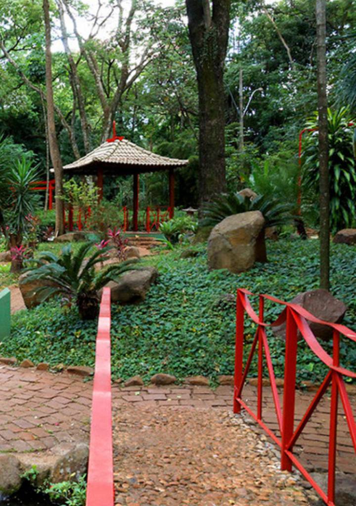 Cidade de Ribeirão Preto